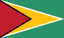 Guyana flag